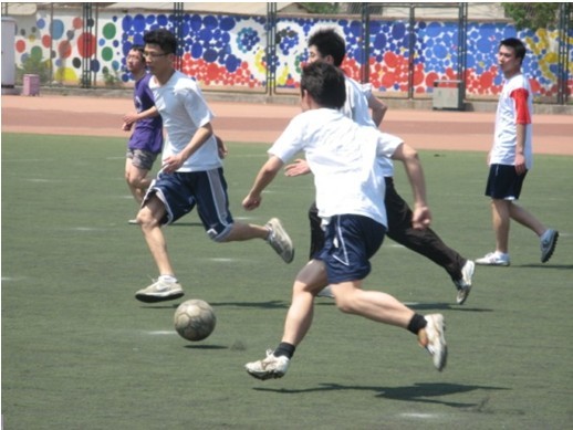 拉菲尼亚的 拉菲尼亚的